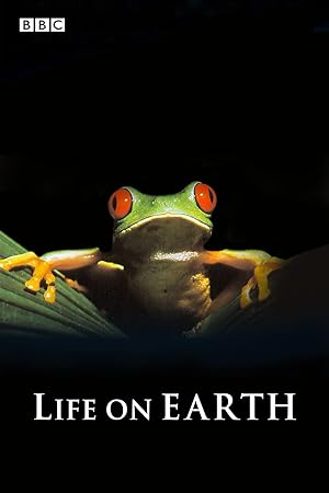 Life on Earth